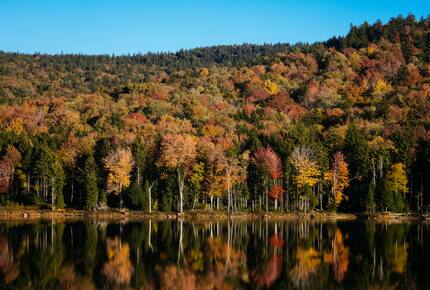 Snowshoe Camp 4 #28 - Snowshoe, West Virginia