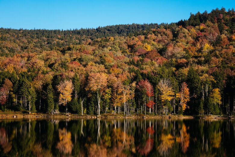 Snowshoe Camp 4 #28 - Snowshoe, West Virginia