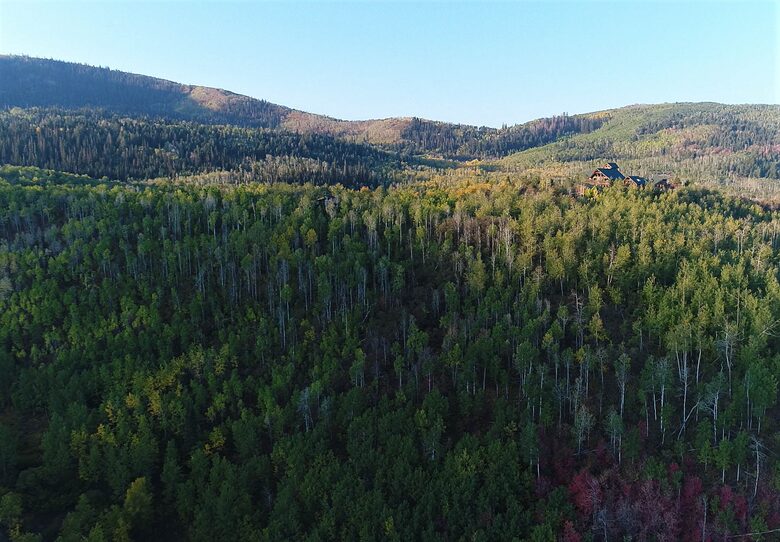 Timber Moose: America's Biggest Log Cabin - Heber City, Utah