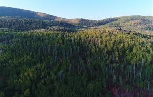 Timber Moose: America's Biggest Log Cabin