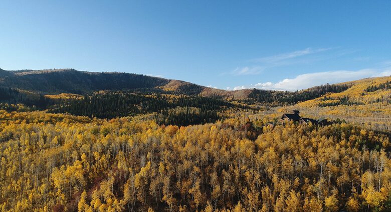 Timber Moose: America's Biggest Log Cabin - Heber City, Utah