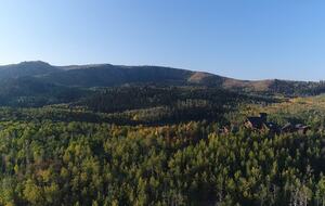 Timber Moose: America's Biggest Log Cabin - Heber City, Utah