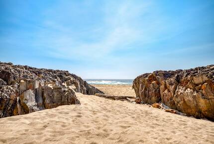Sand Dollar Cabin - Lincoln City, Oregon