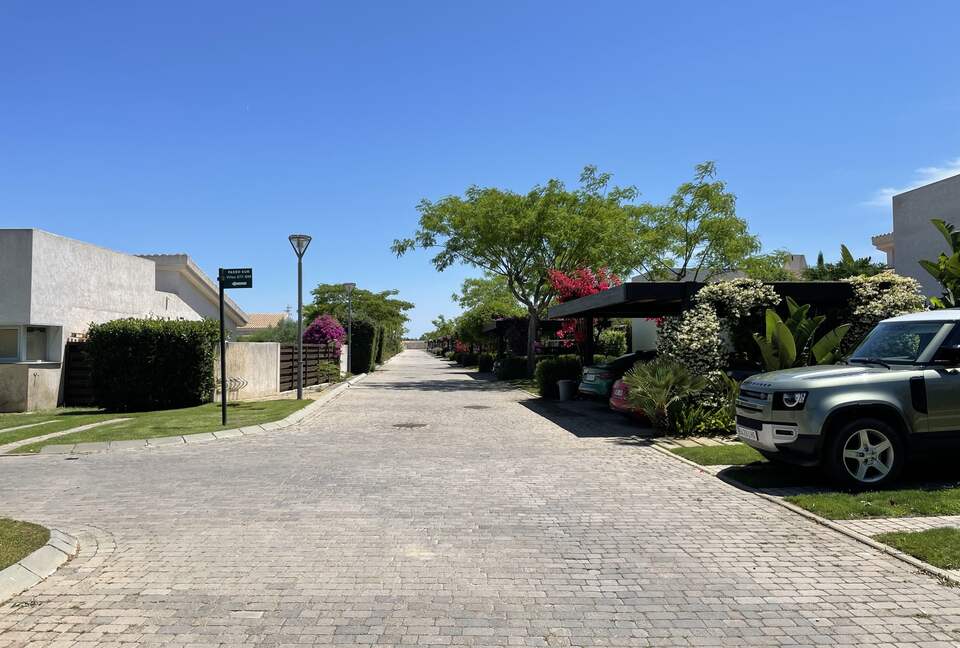 Our "urbanización": trees and flowers everywhere, what a joy