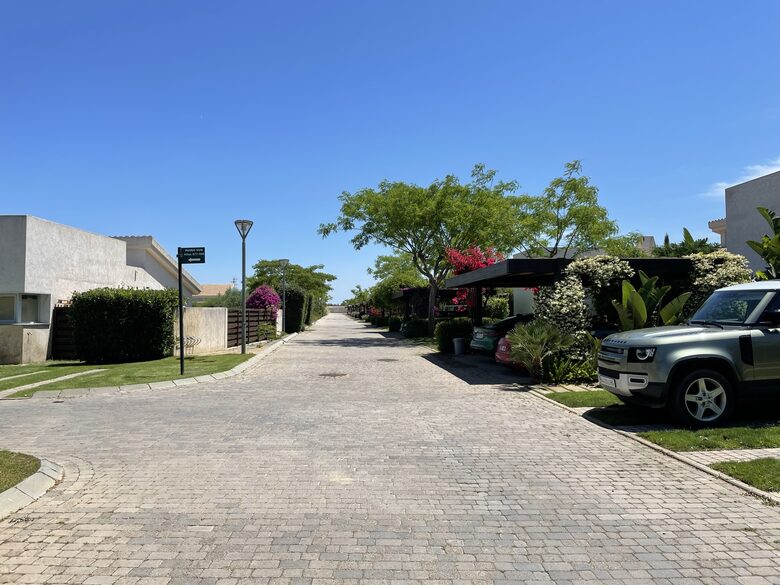 Our "urbanización": trees and flowers everywhere, what a joy