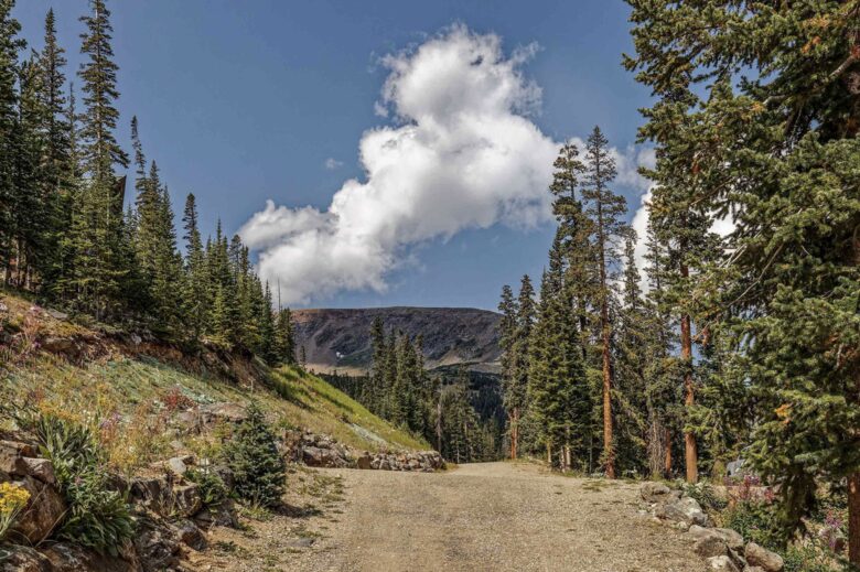 Stunning High Altitude Cabin in Summit County - Breckenridge, Colorado