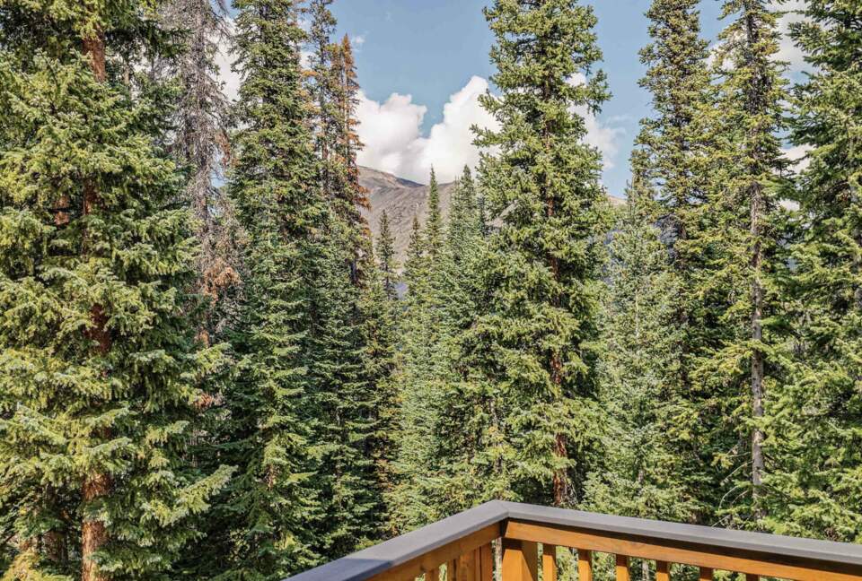 Stunning High Altitude Cabin in Summit County - Breckenridge, Colorado