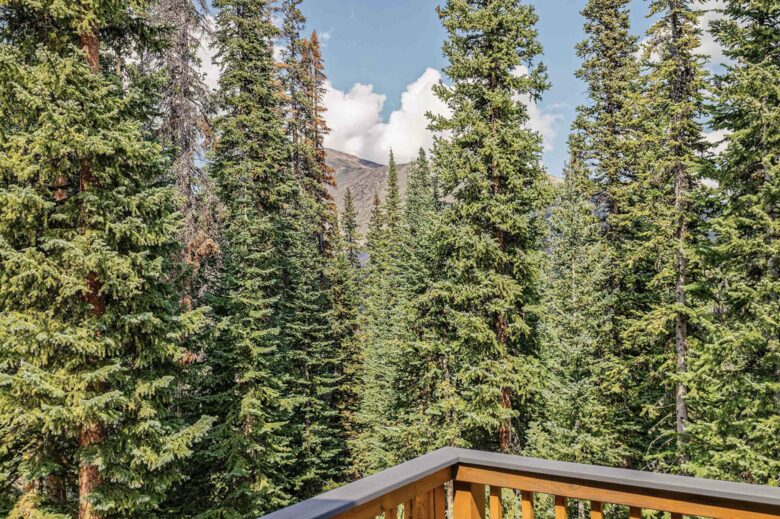 Stunning High Altitude Cabin in Summit County - Breckenridge, Colorado