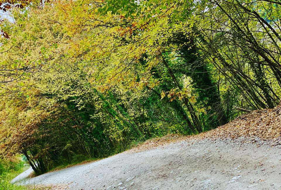 Villa Cavagnetti - Pietralunga, Italy