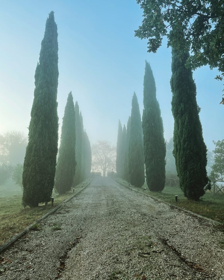 Villa Cavagnetti - Pietralunga, Italy
