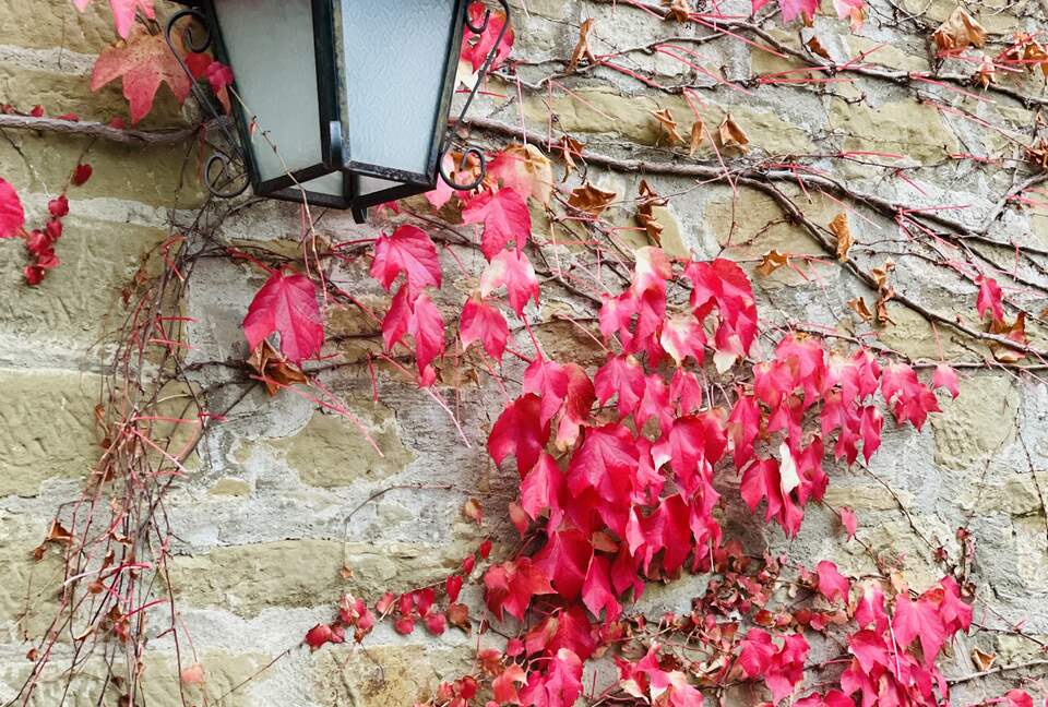 Villa Cavagnetti - Pietralunga, Italy