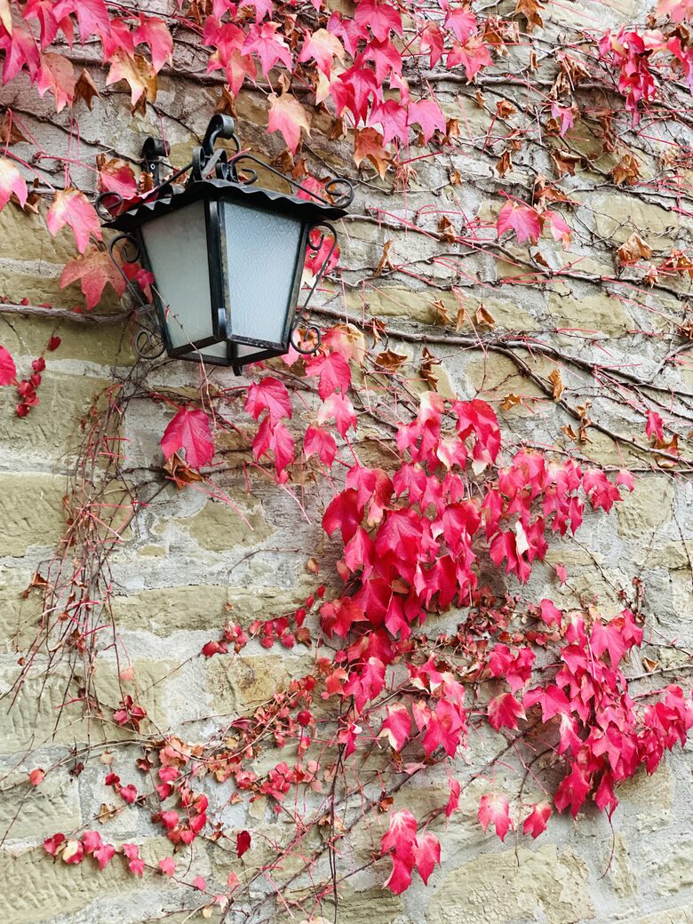 Villa Cavagnetti - Pietralunga, Italy