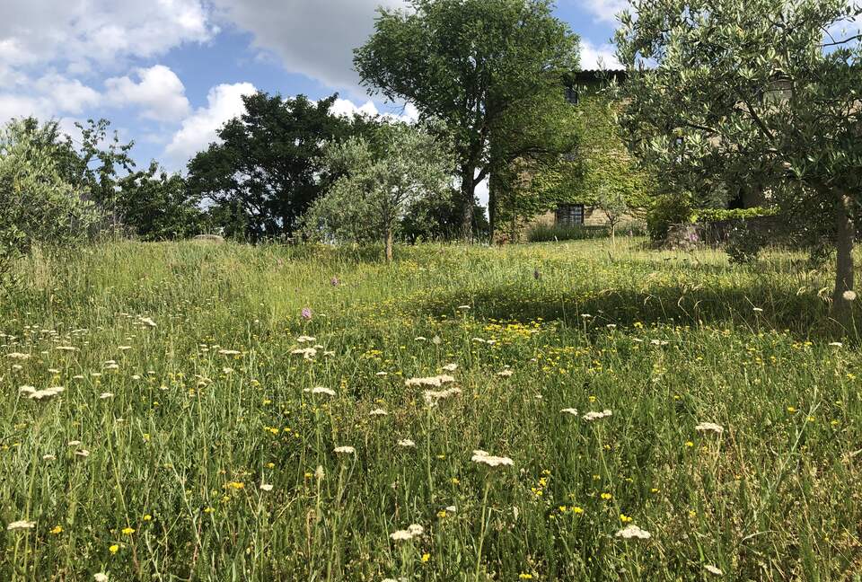 Villa Cavagnetti - Pietralunga, Italy