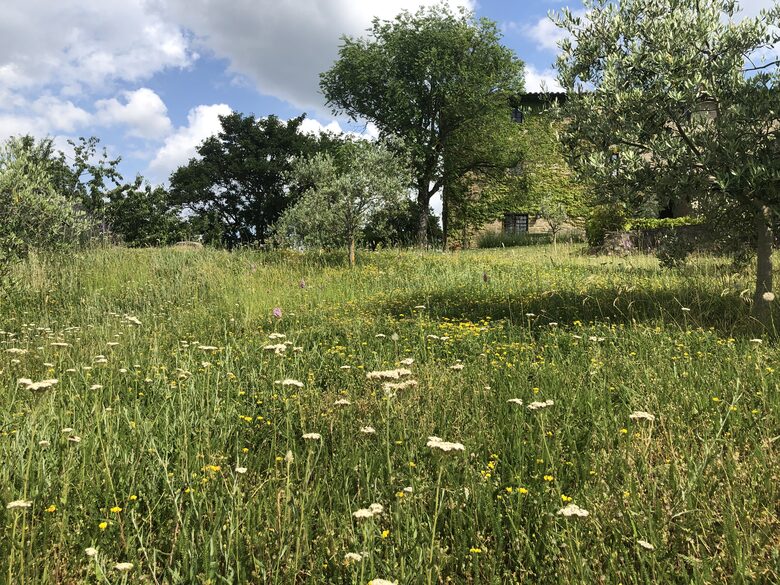 Villa Cavagnetti - Pietralunga, Italy