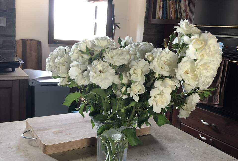 Villa Cavagnetti - Pietralunga, Italy