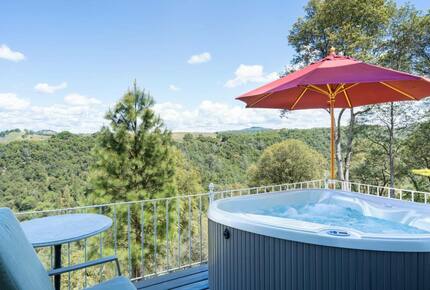 Vineyard Hilltop Retreat - Plymouth, California