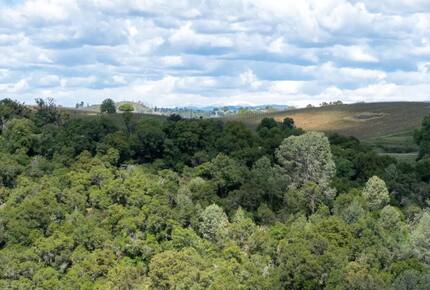 Vineyard Hilltop Retreat - Plymouth, California