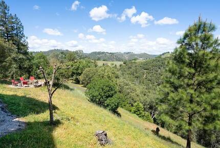 Vineyard Hilltop Retreat - Plymouth, California