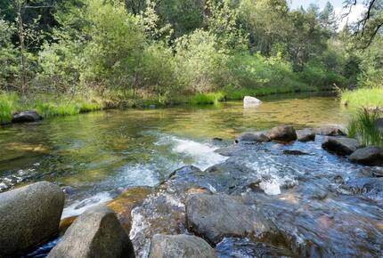 Vineyard Hilltop Retreat - Plymouth, California