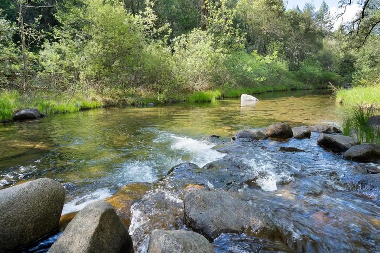 Vineyard Hilltop Retreat - Plymouth, California