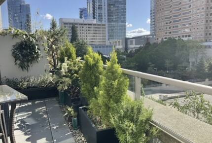 Luxury Downtown Bellevue Retreat - Bellevue, Washington