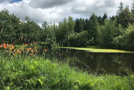 Maison Wilkins - Melbourne, Canada