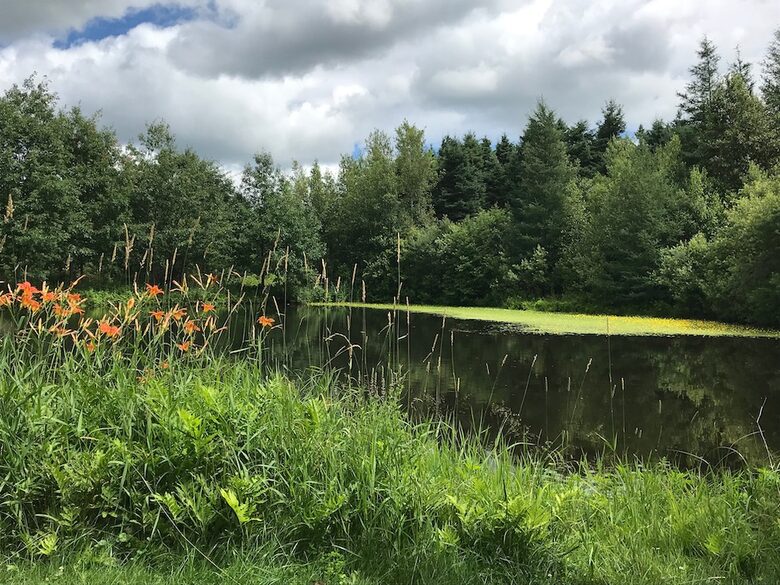 Maison Wilkins - Melbourne, Canada