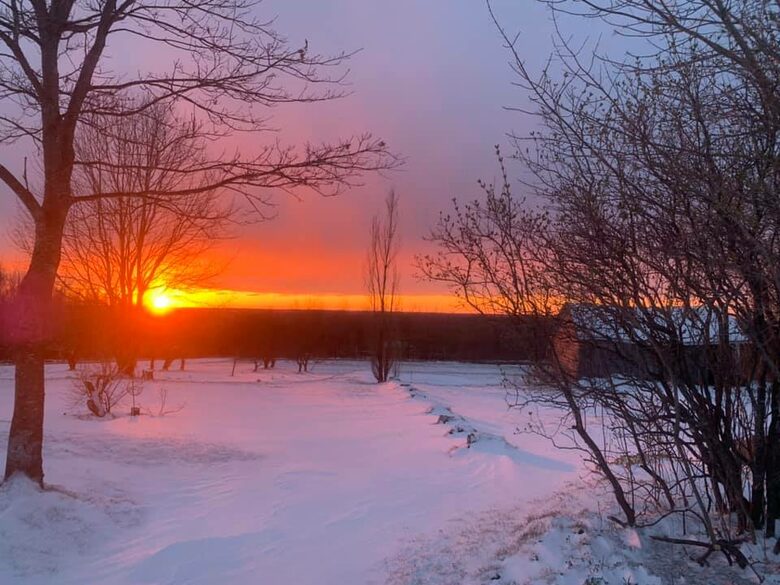 Maison Wilkins - Melbourne, Canada