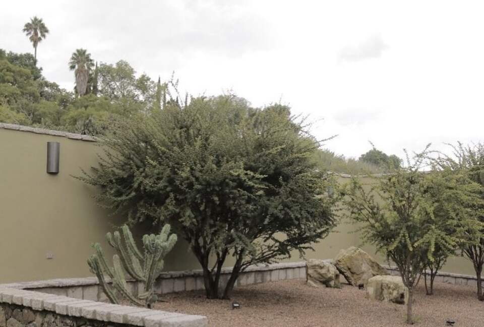 Casa Nella Grand Villa - San Miguel de Allende, Mexico