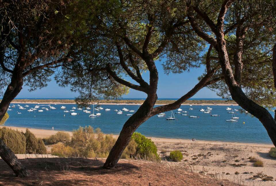 Paradise in unspoilt South of Spain - Cartaya, Spain