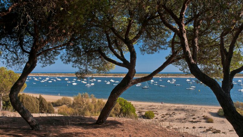 Paradise in unspoilt South of Spain - Cartaya, Spain