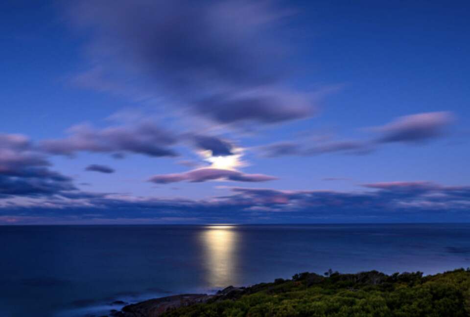 The Ocean Retreat - Falmouth, Australia