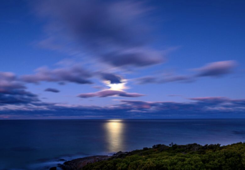 The Ocean Retreat - Falmouth, Australia