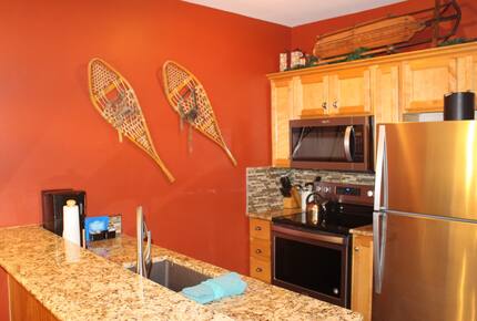 Snowshoe Ski-In/Ski-Out Studio - Snowshoe, West Virginia