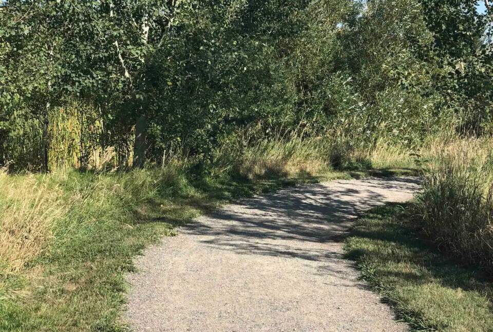 New Prairie Craftsman Charmer - Bozeman, Montana