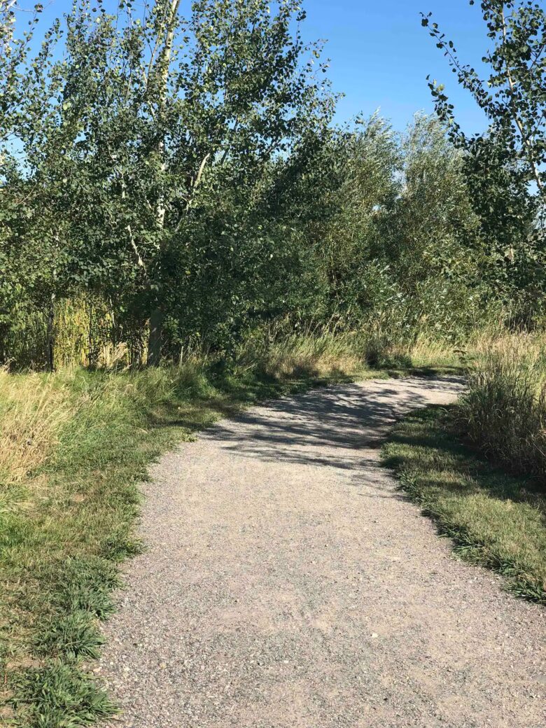 New Prairie Craftsman Charmer - Bozeman, Montana