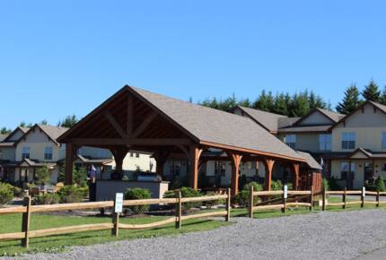 Snowshoe Black Bear Crossing- #34 - Snowshoe, West Virginia