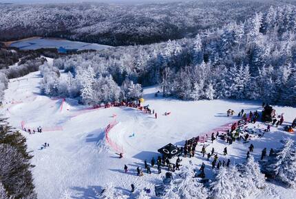 Snowshoe Black Bear Crossing- #34 - Snowshoe, West Virginia