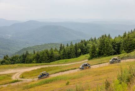 Snowshoe Black Bear Crossing- #34 - Snowshoe, West Virginia