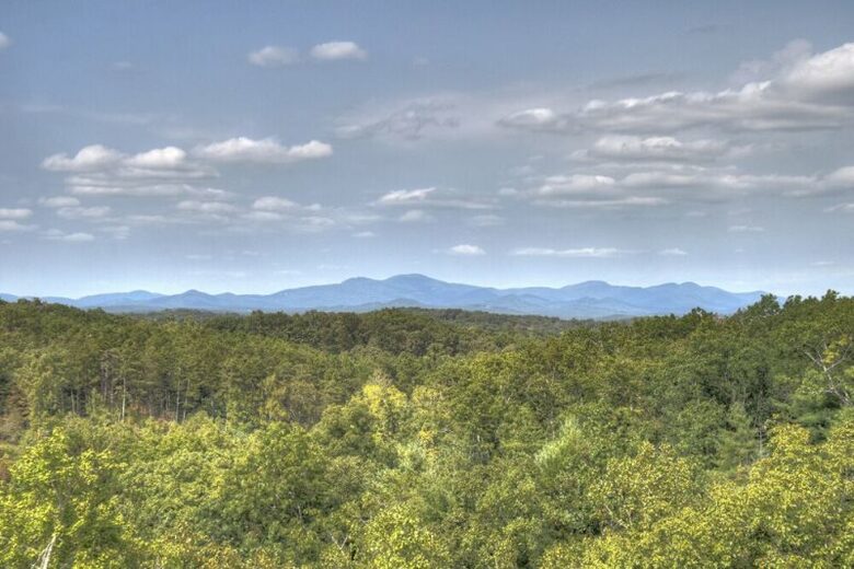 A Cut Above | North Georgia Mountain Home - Blue Ridge, Georgia