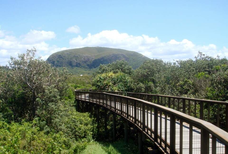 Mount Coolum