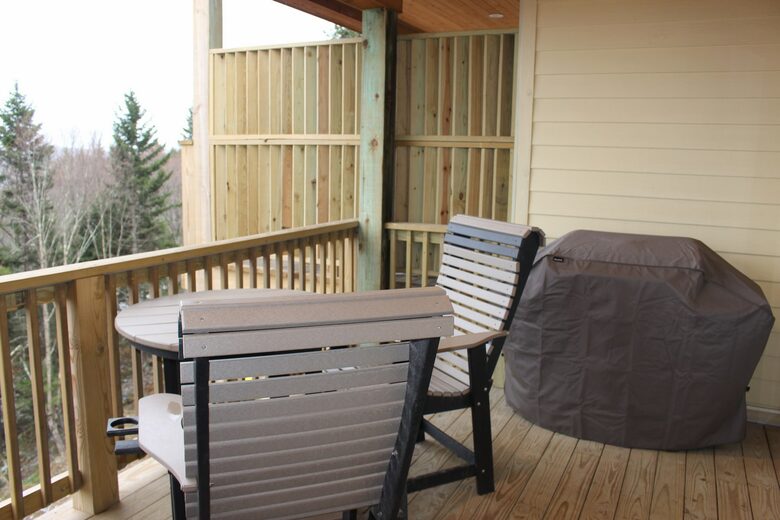 Snowshoe Black Bear Crossing #22 - Snowshoe, West Virginia