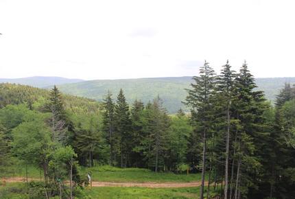 Snowshoe Black Bear Crossing #22 - Snowshoe, West Virginia