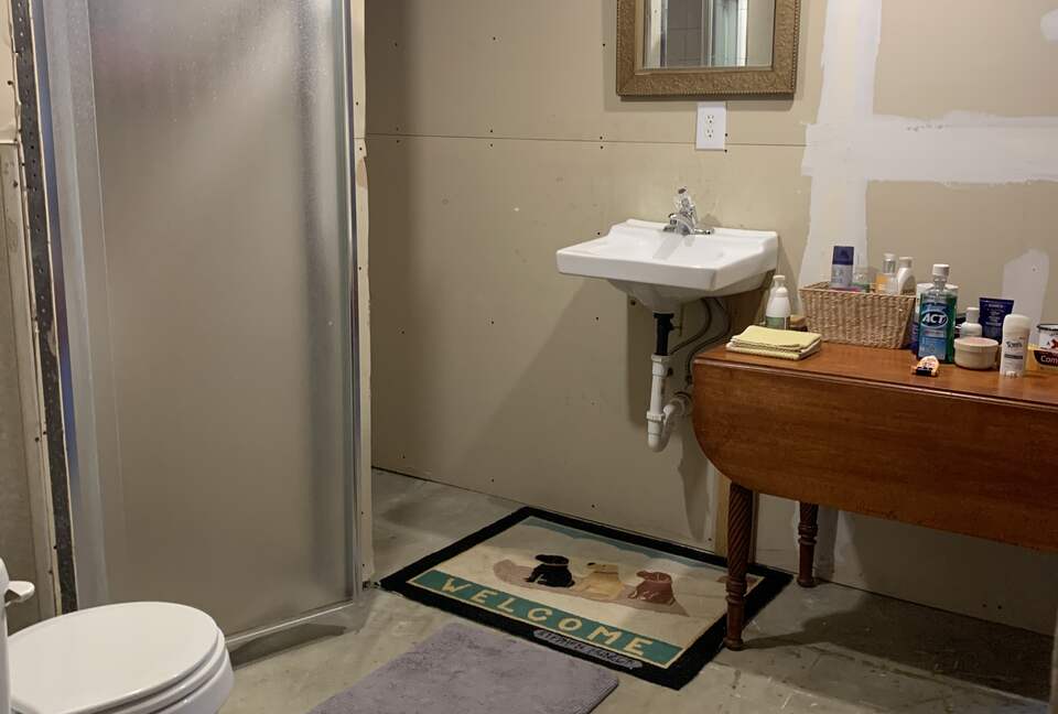 Shower in basement