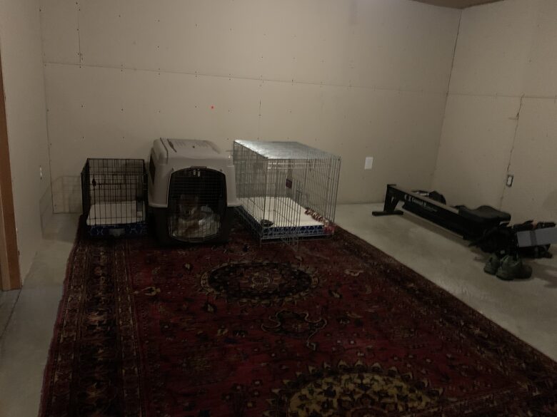 Basement - dog crates / rower
