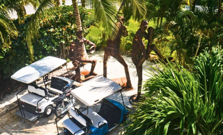 Tortuga Bay Private Villa - Punta Cana, Dominican Republic