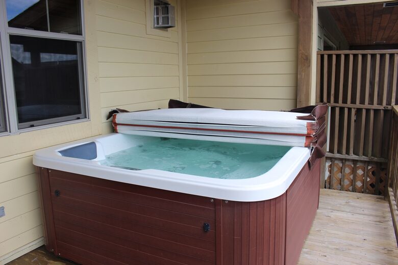 Snowshoe Black Bear Crossing- #34 - Snowshoe, West Virginia