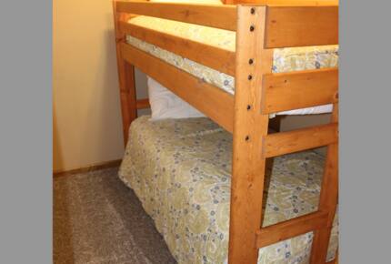 Snowshoe Black Bear Crossing- #34 - Snowshoe, West Virginia