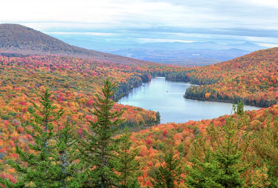 Longwood | Cozy Vermont Country Cottage - West Glover, Vermont