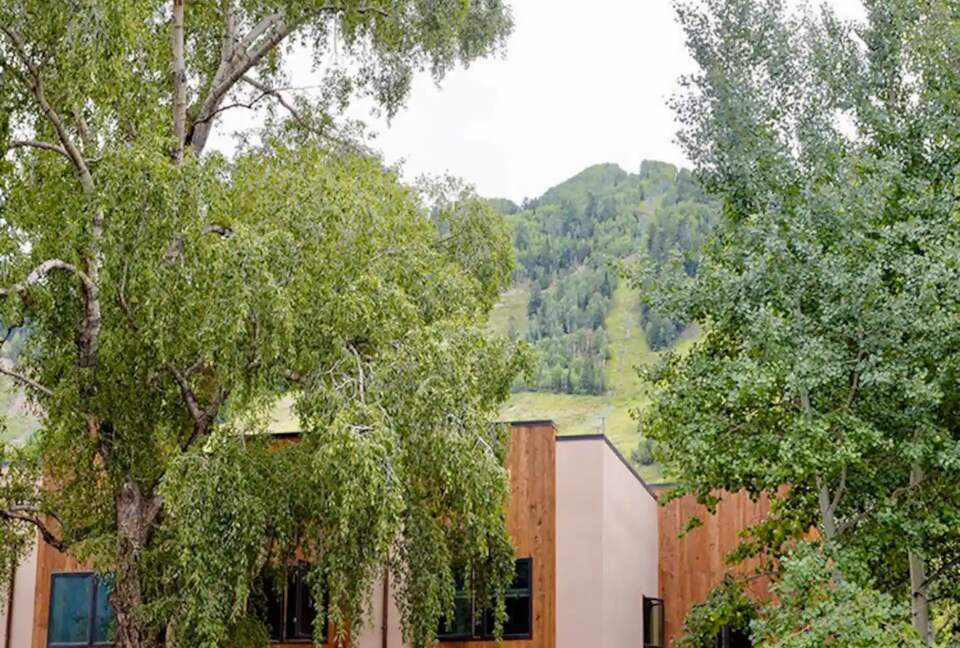 Chic, Cozy Aspen Jewel Box in Center Core - Aspen, Colorado